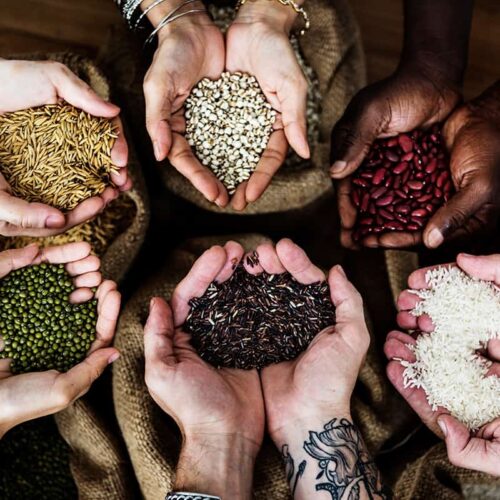 Acute Urea Shortage, Black Marketing Upset Farmers During Rabi Season